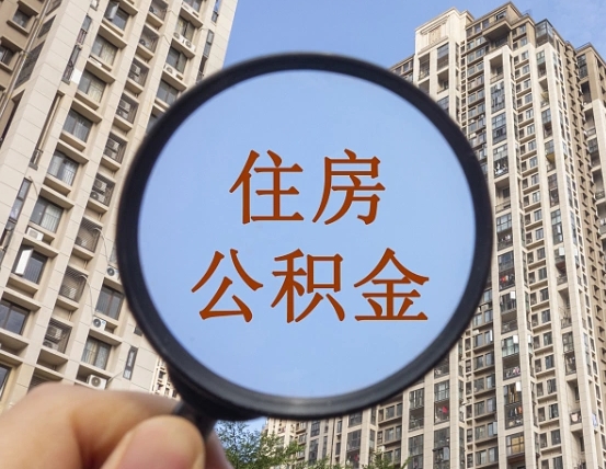 玉树退休后查不到公积金明细了吗（退休后公积金查询不到原因）